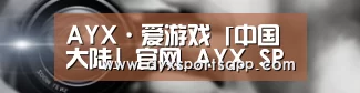 公司动态