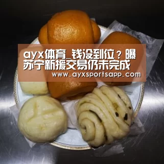 ayx体育_钱没到位？曝苏宁新援交易仍未完成 国际足联或将介入(图2)
