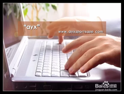 AYX·爱游戏