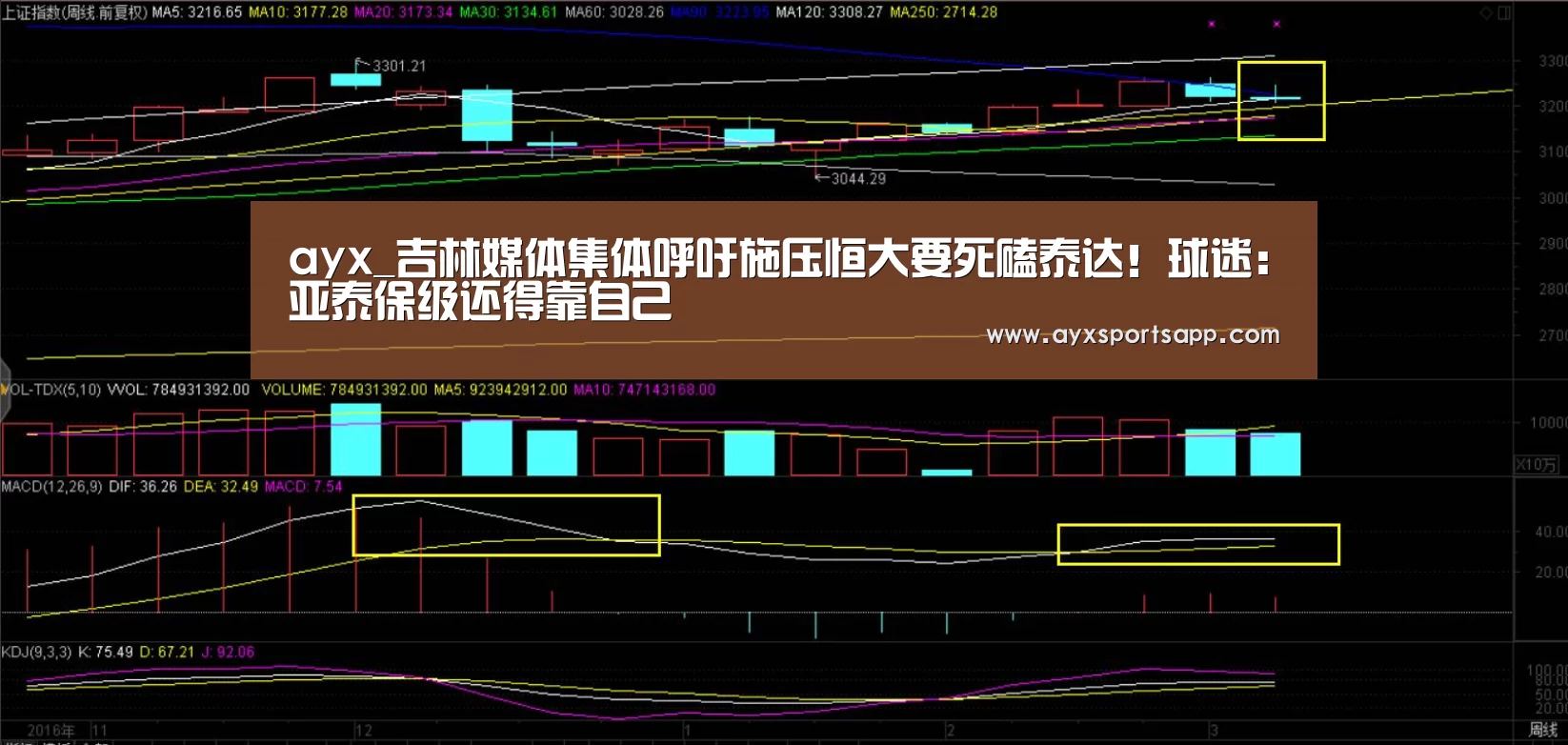 AYX·爱游戏